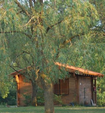 Camping Ripolles